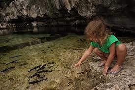 Bioparque y Albergue Animal Chan Tamam